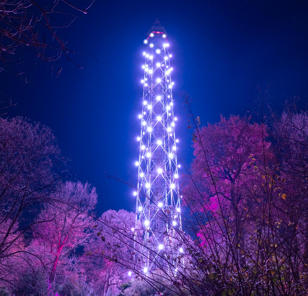 milano torre branca pandora stargazing event