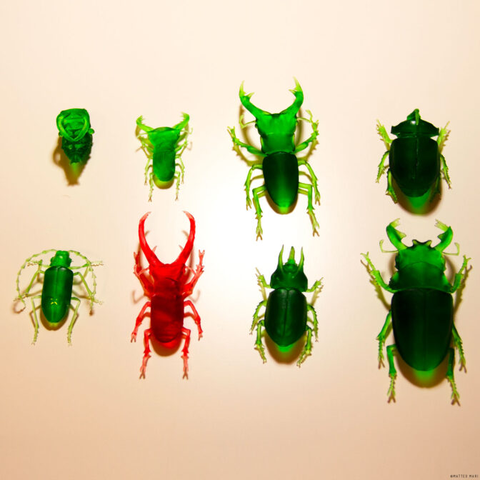 3d printed beetle