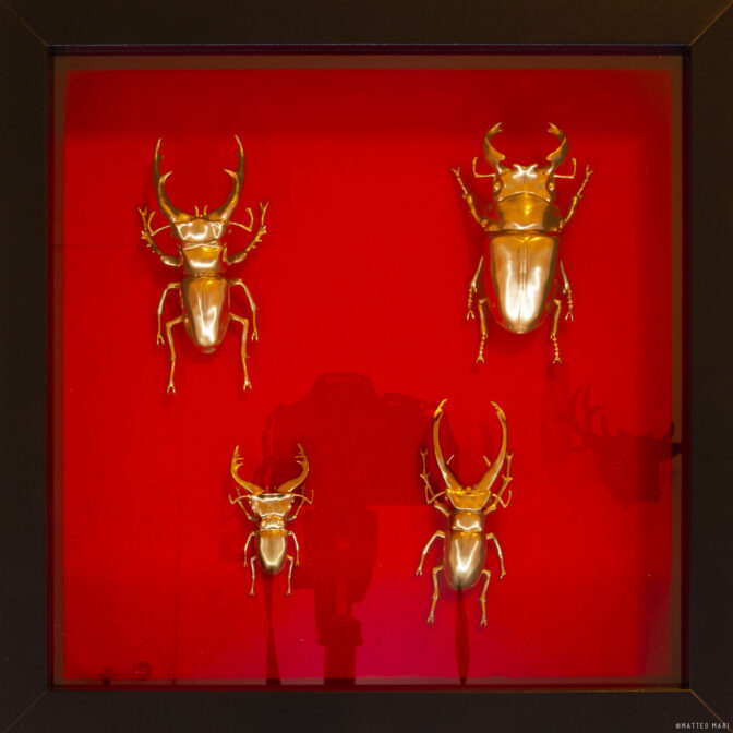 3d printed golden beetle