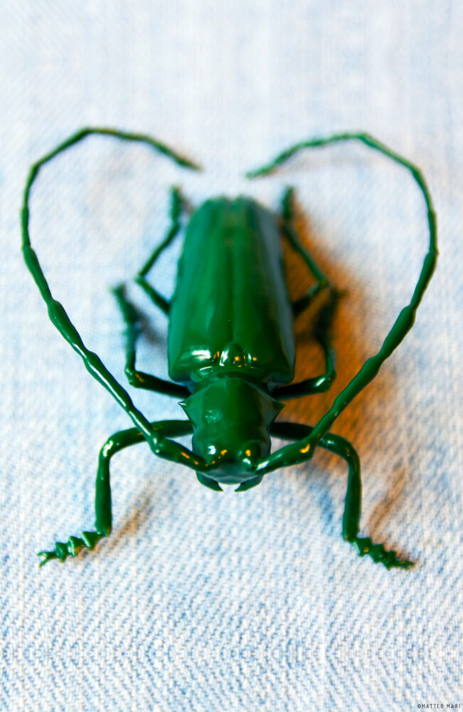 3d printed beetle